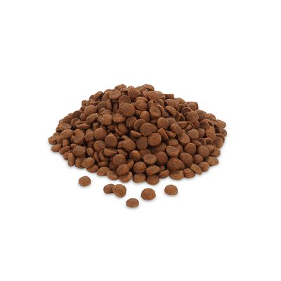 Feringa Adult Sterilised Lachs