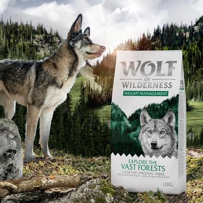 2 x 12 kg Wolf of Wilderness 
