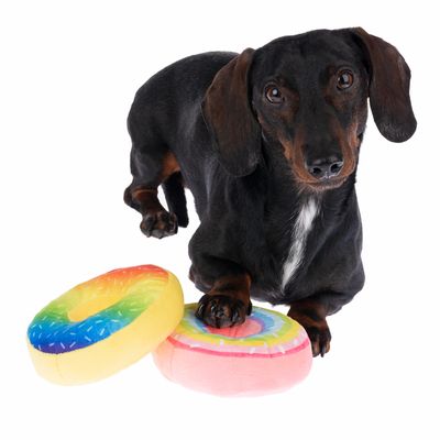 Hundespielzeug Squeaky Donuts Set
