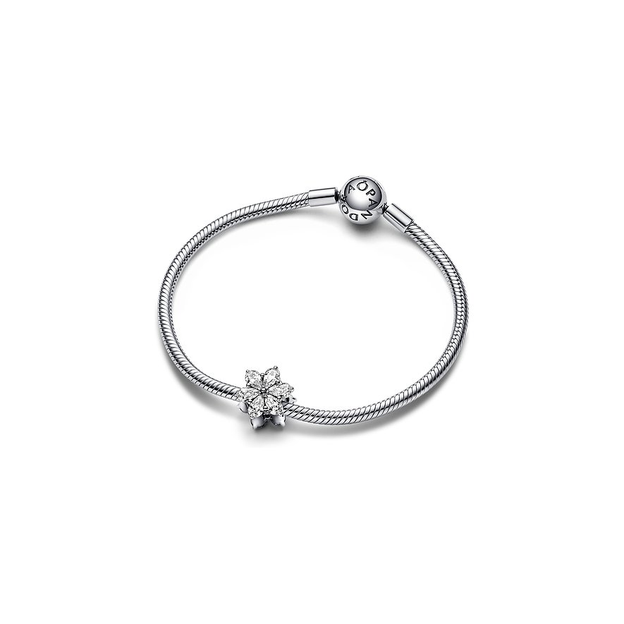 Pandora Charm Timeless