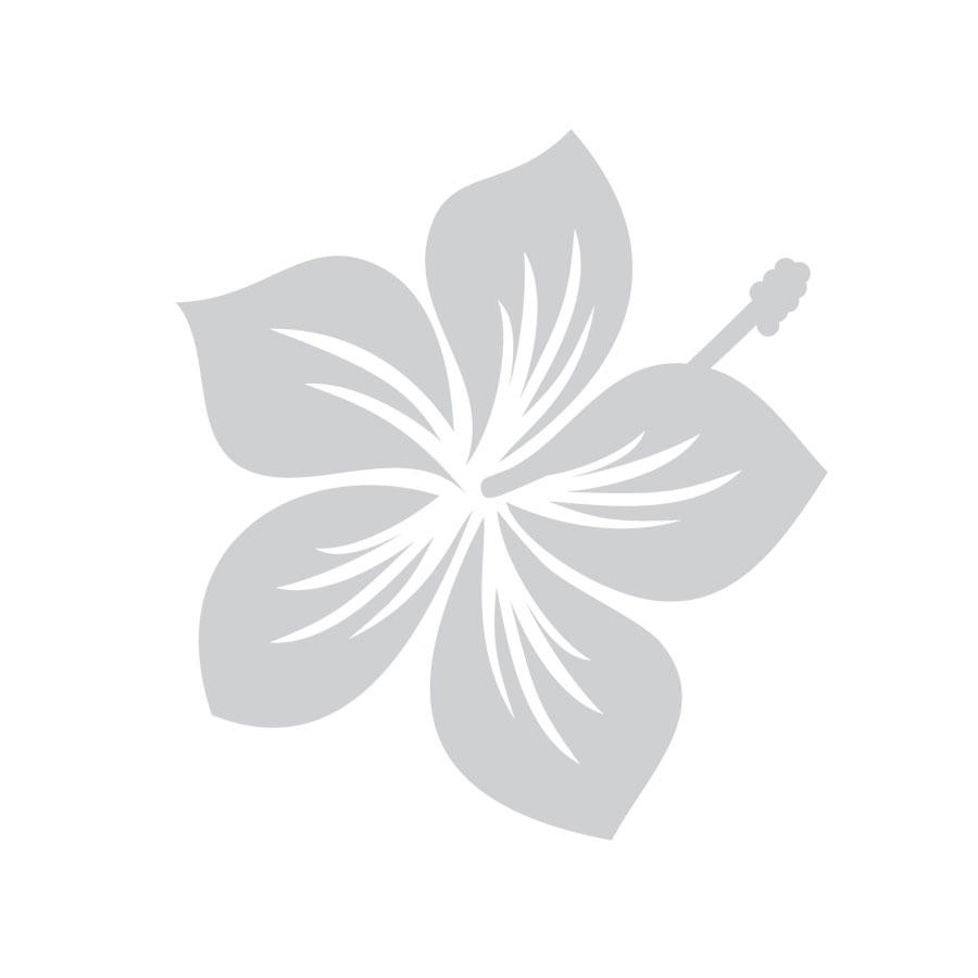 Aufkleber Auto-Dekor "Hibiskus-Blume" in Silber, selbstklebend, 1 Bogen mit 16 Stickern - ATU