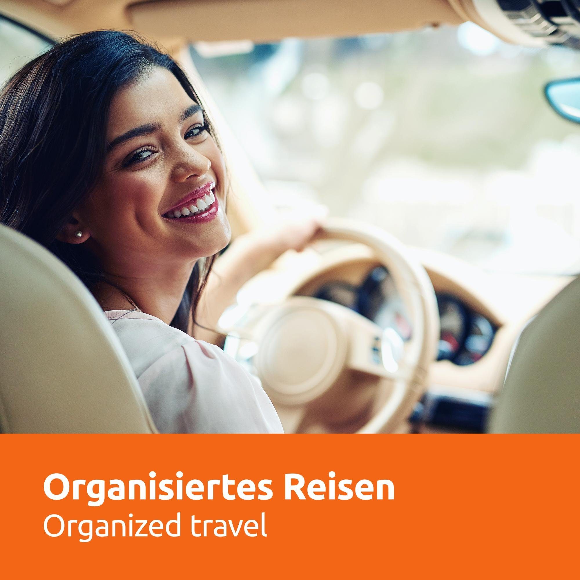 ECENCE Auto-Rückenlehnentasche 1x Rückenlehnen-Schutz Auto Filz Rücksitzschoner (1-tlg)