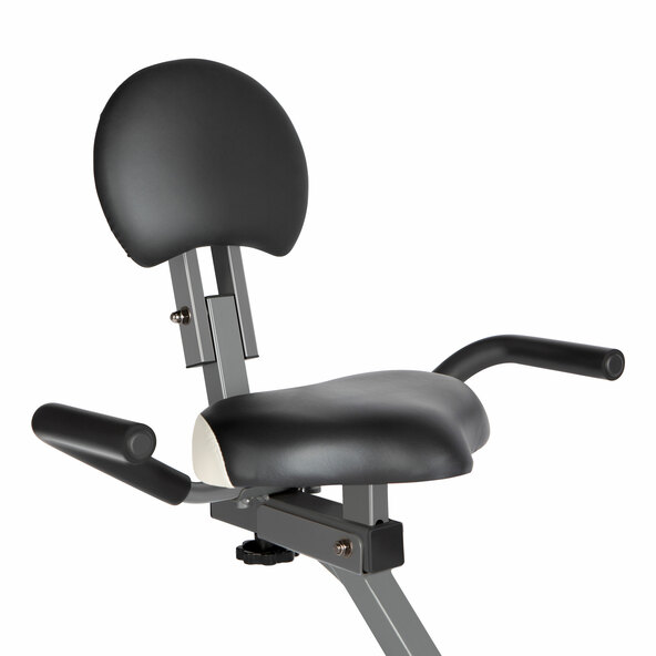 Senior Liegeheimtrainer Nestor