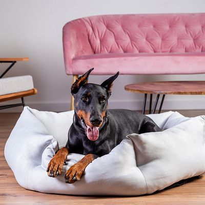 Modern Living Hundebett Alexandria