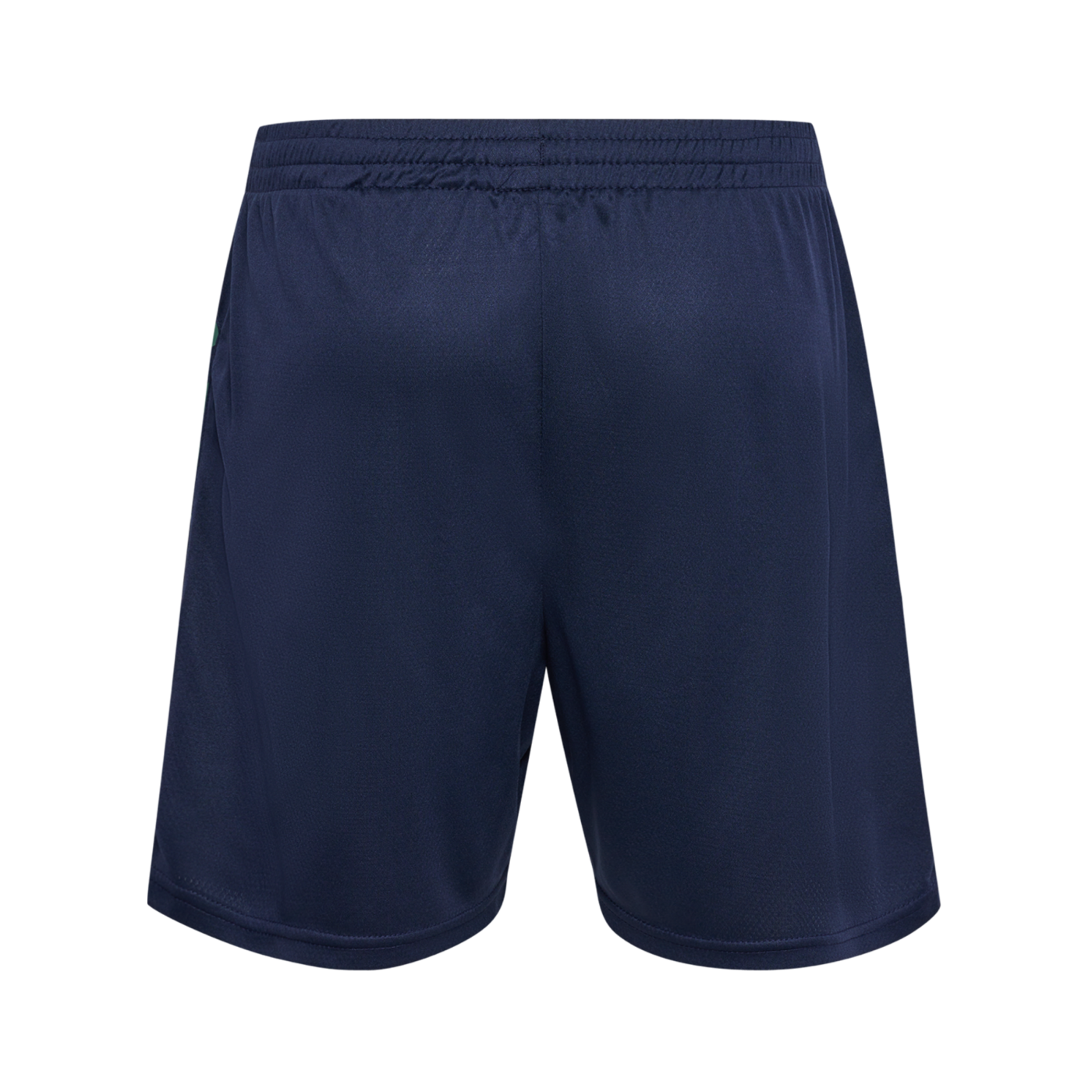 Hummel hmlSTALTIC Poly Short Blau F7209