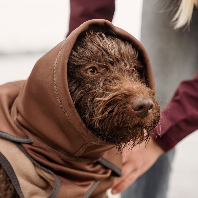 Hurtta Bare Softshell-Hundejacke Chocolate