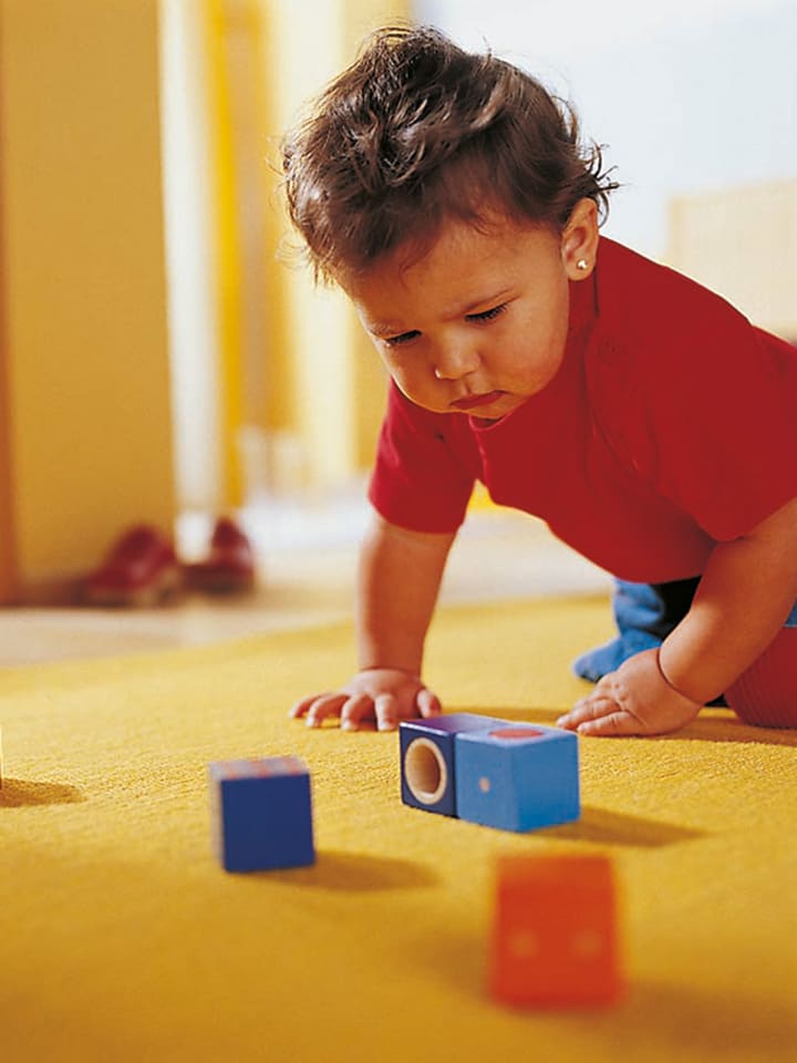 Haba Spielbausteine Erkundungssteine in mehrfarbig günstig kaufen onesize