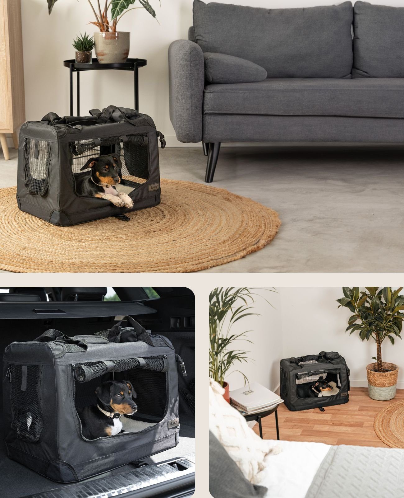 lionto Tiertransportbox Transportbox für Hunde & Katzen, 50 cm x 36 cm x 34 cm, schwarz