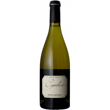 CIGALUS BLANC 2022- GERARD BERTRAND
