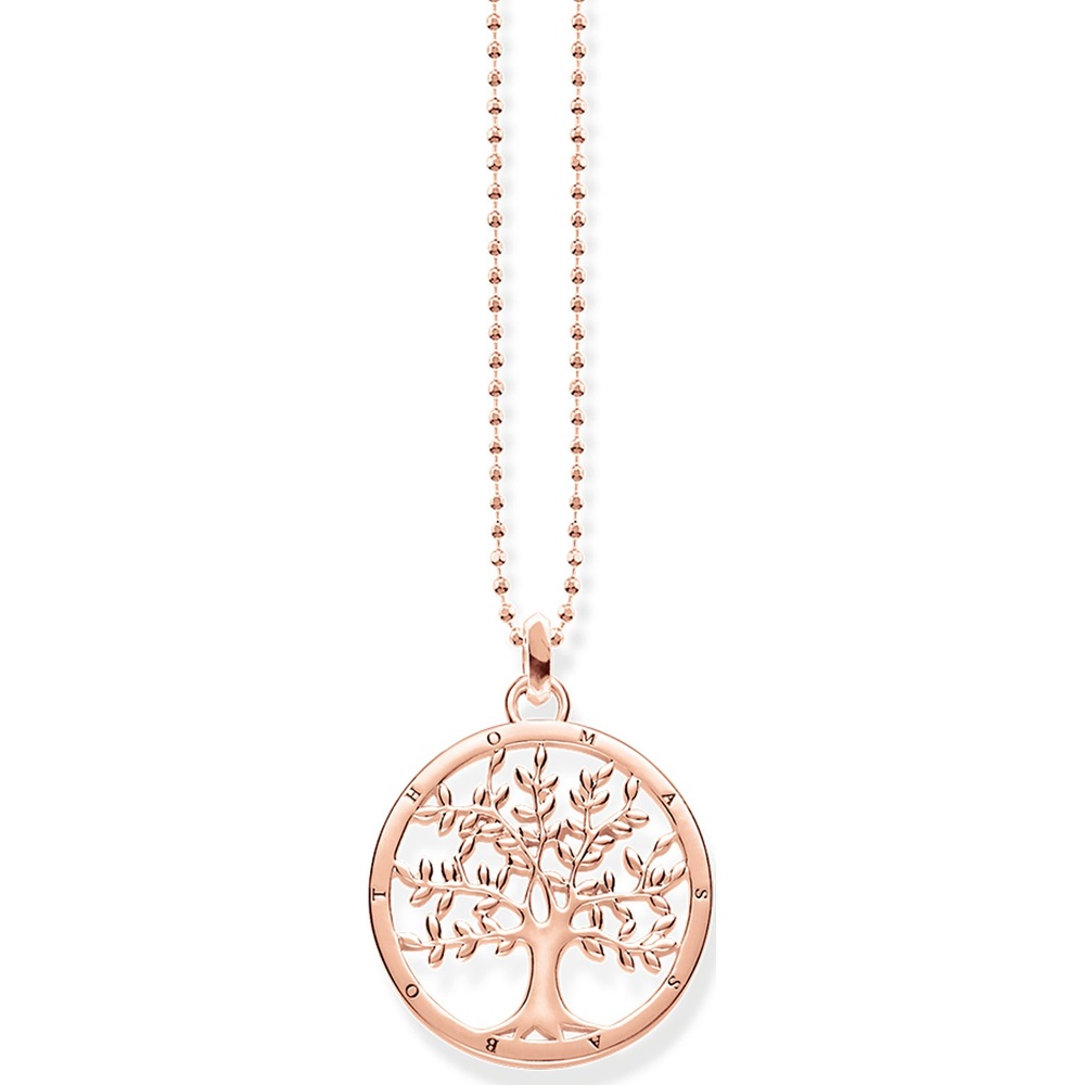 Thomas Sabo Chaînette 925 Argent collier
