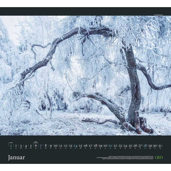 GEO KALENDER: SEHNSUCHT WALD 2024 - WAND-KALENDER - Kalender