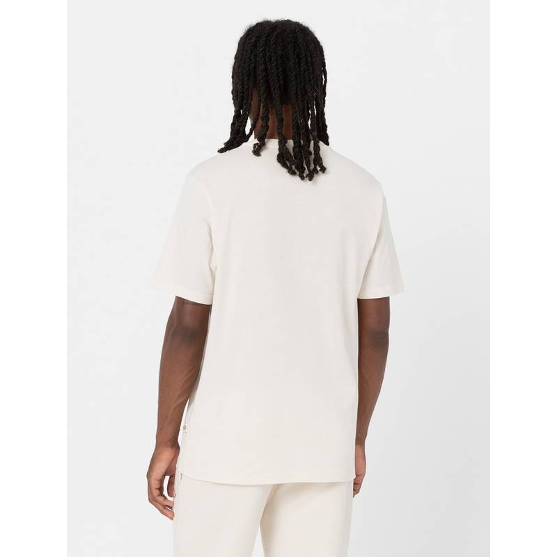 Dickies Mapleton T-Shirt Herren
