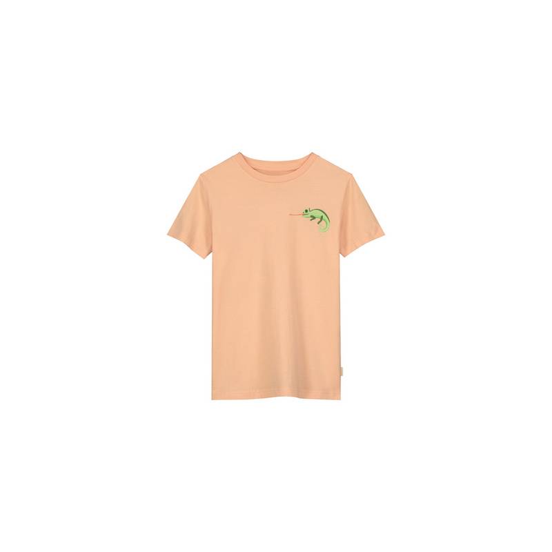 Shiwi Cameleon T-Shirt Jungen