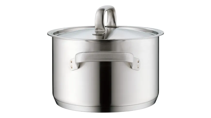 WMF Fleischtopf Gourmet Plus Ø 20cm