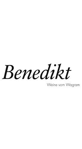 2022 Riesling trocken - Weingut Benedikt Wolfgang
