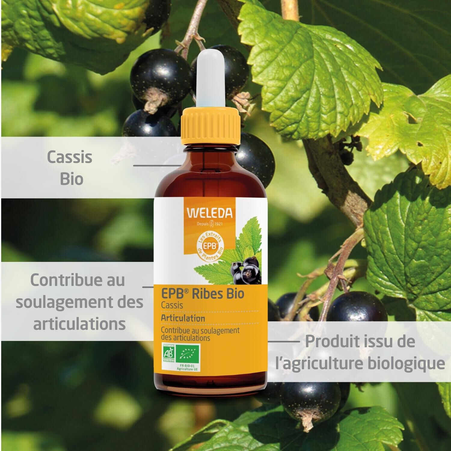 Weleda EPB® Ribes Bio Complément Alimentaire Naturel - 60 ml