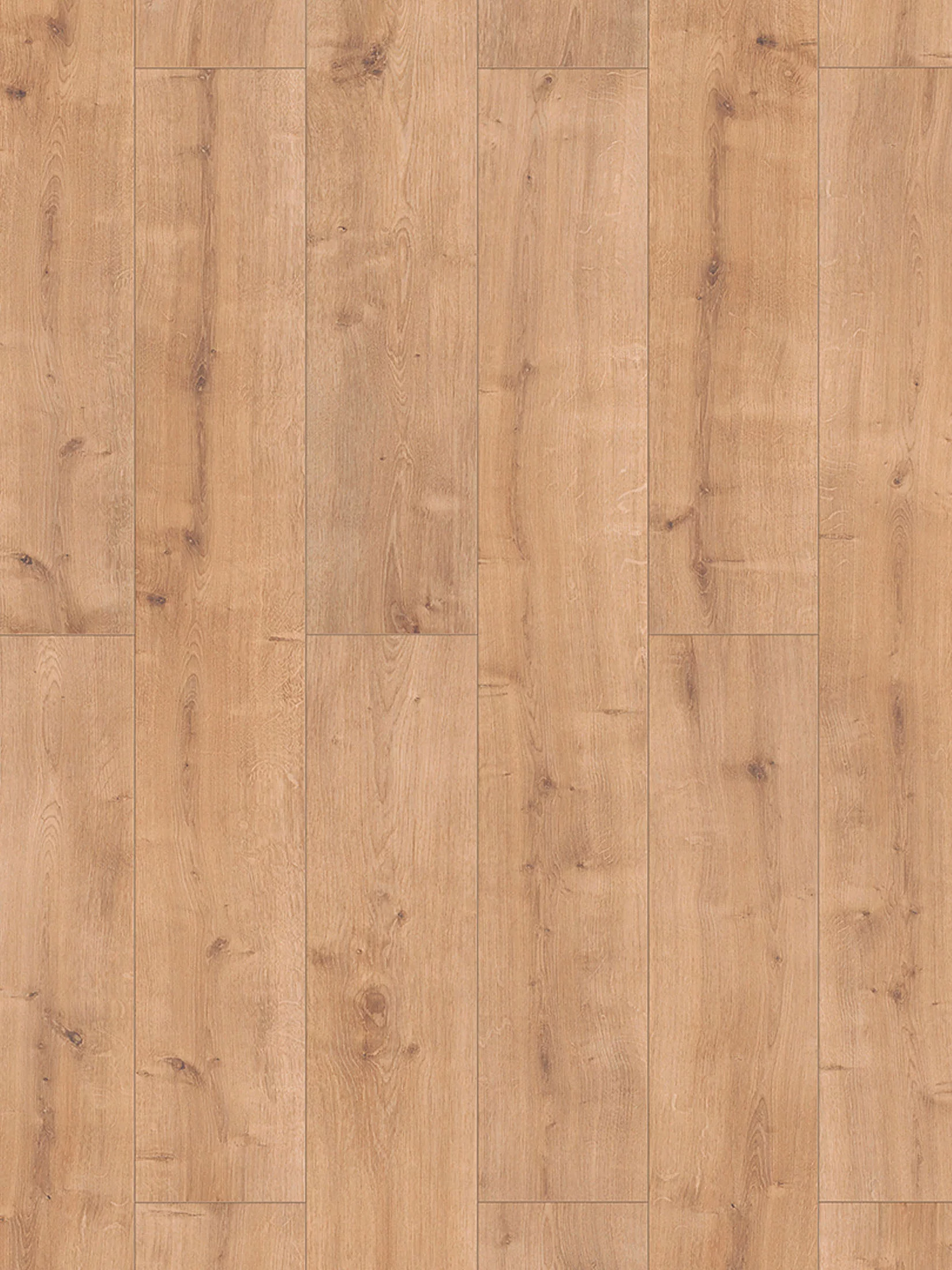 Natura Klick-Laminat, Monument Oak 65557