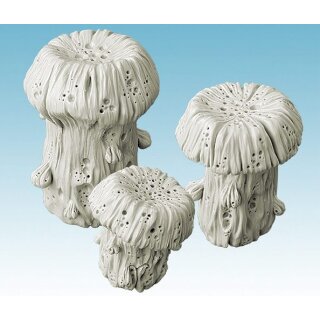 Tathea Cyst Fungus Set