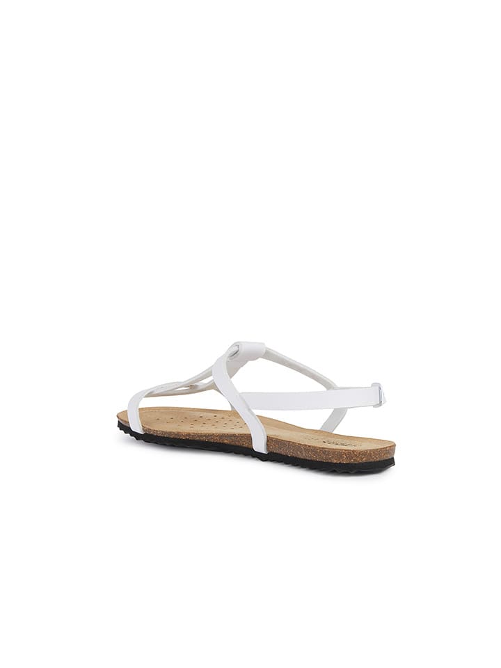 Geox Sandalen 