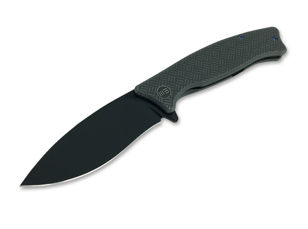 Balaenoptera Grey