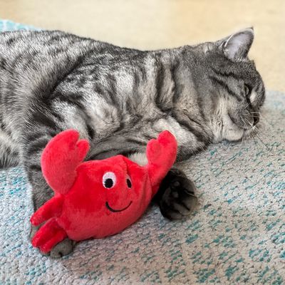 Aumüller Baldrian-Katzenspielkissen Krebs Kalle