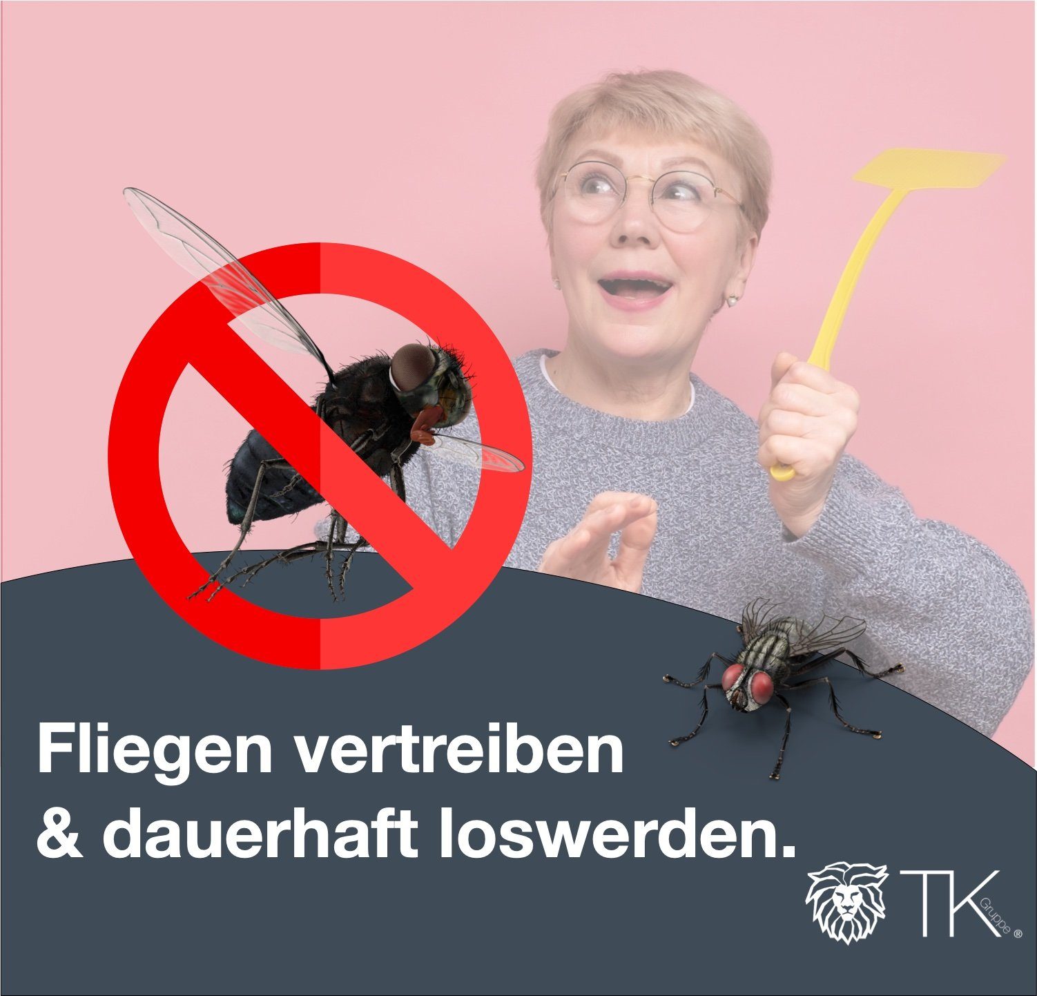 TK Gruppe Fliegenklatsche 12er XXL Fliegenklatsche Set - ausziehbar - Teleskop Klatsche