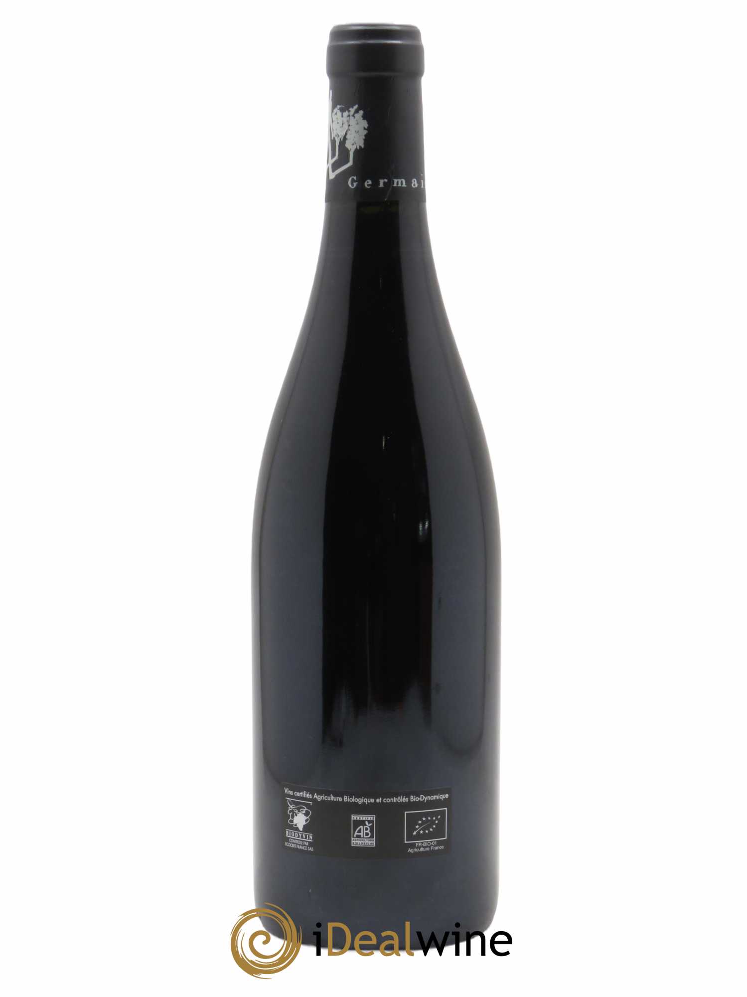 Saumur-Champigny Terres Chaudes Domaine des Roches Neuves - Thierry Germain  2021 - Lot de 1 Bouteille