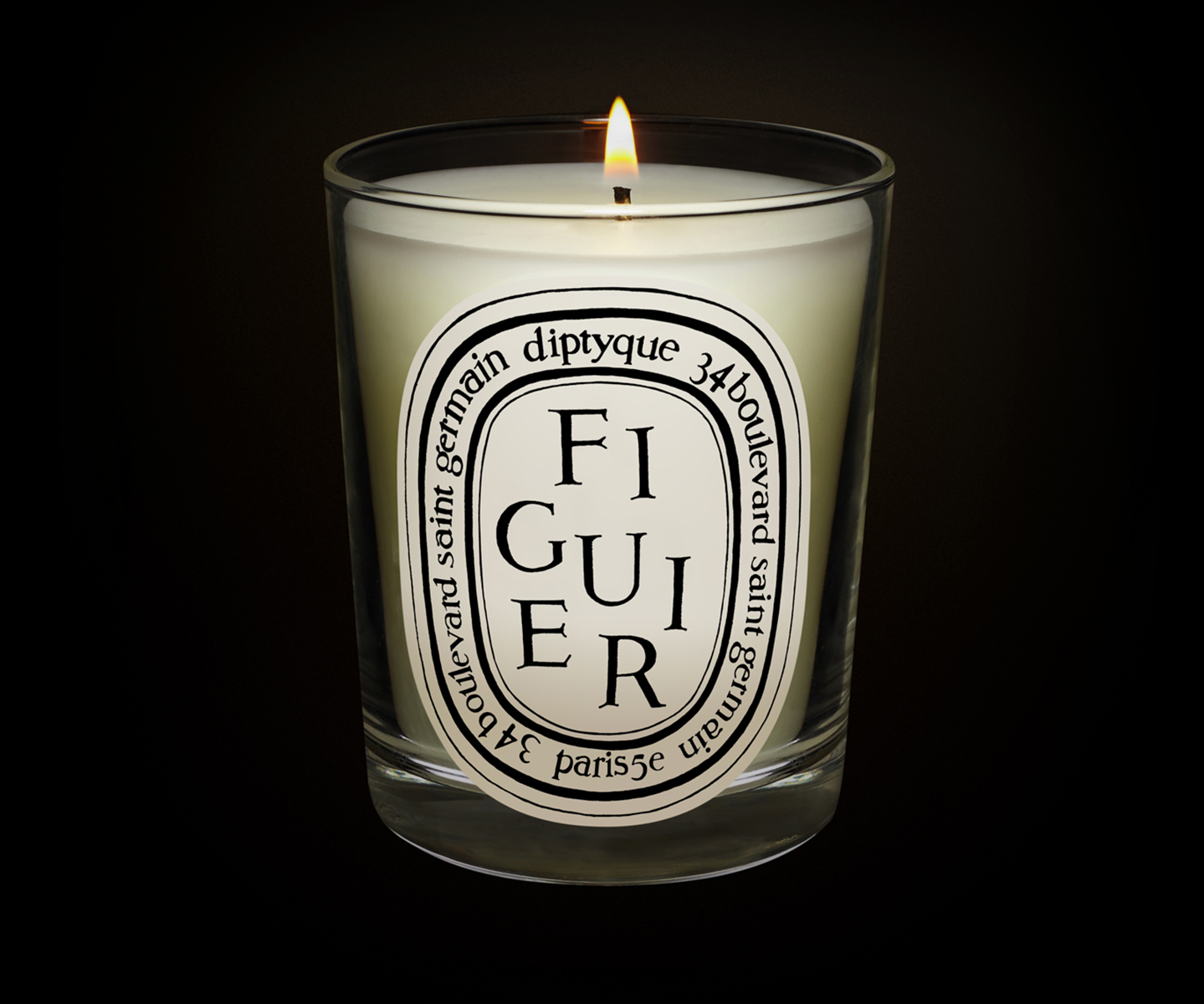 Figuier - Bougie modèle classique