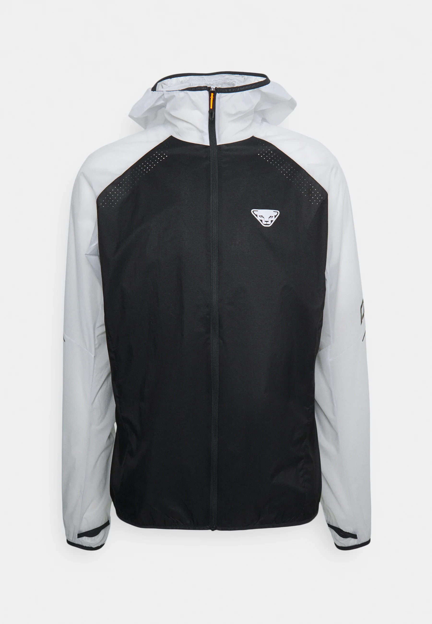 Dynafit ALPINE WIND - Chaqueta softshell