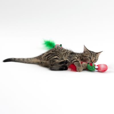 TIAKI Mäuse-Set mit Katzenminze