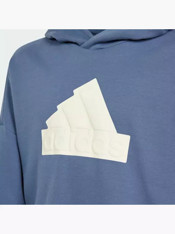 adidas Future Icons Logo Hoodie