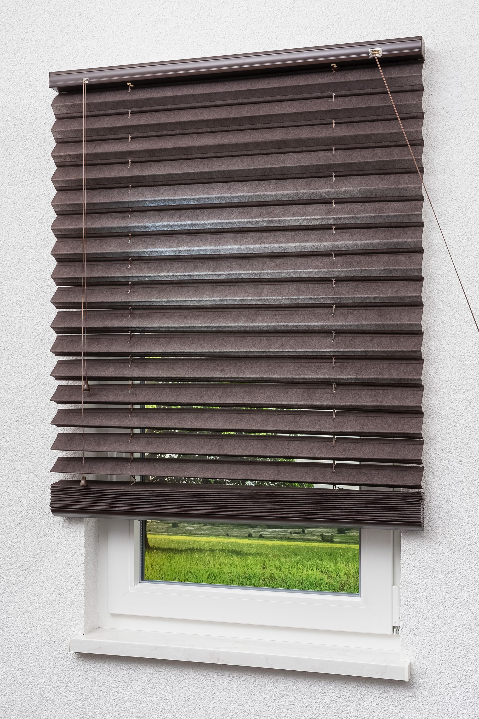 Jalousie Jalousie mit Plissee-Effekt, LYSEL®, HxB 180x90cm