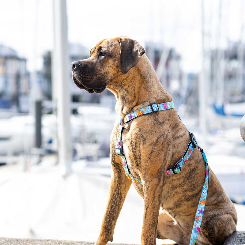 Max & Molly H-G﻿eschirr Blue Ocean zu TOP-Preisen