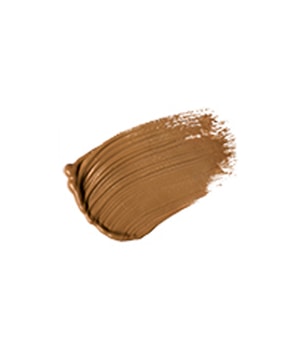 Absolute New York Radiant Cover Concealer-8 ml