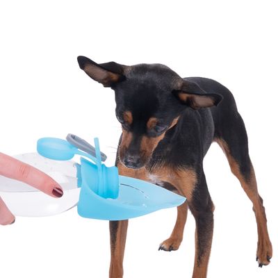 Smartpet Trinkflasche für unterwegs