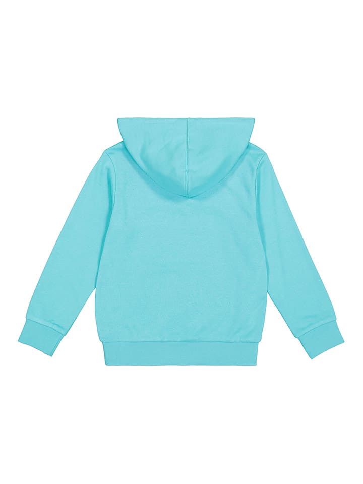 Champion Hoodie in Türkis günstig kaufen