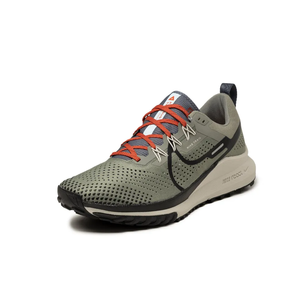 Nike Pegasus Trail 4 DJ6158-007 / grau