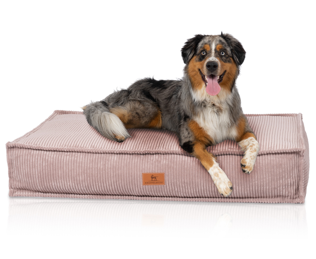 Knuffelwuff Hundekissen Knuffelwuff Hundekissen Lesedi aus Cord mit Handwebcharakter rosa XXL