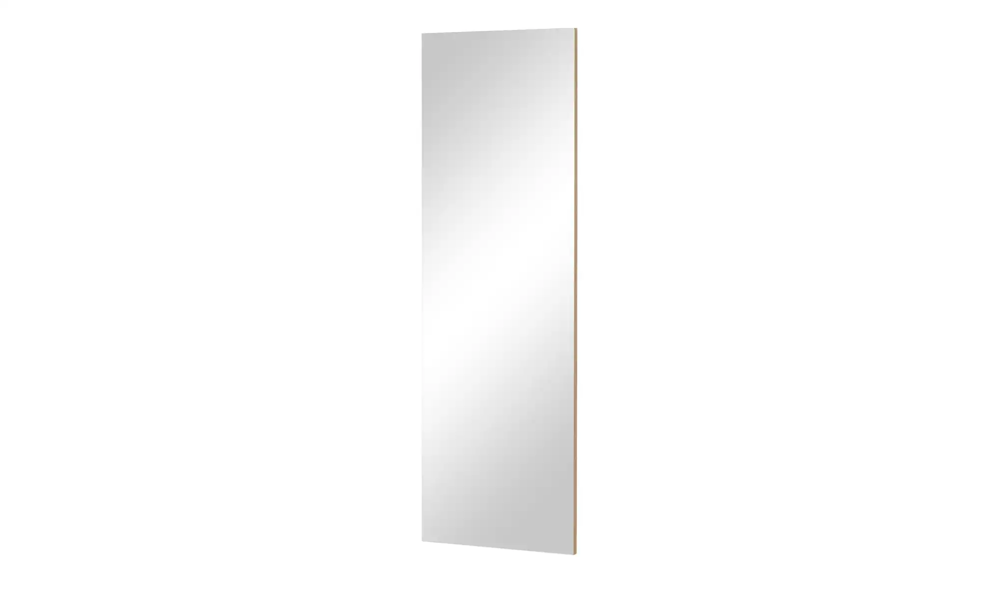 Spiegel 48 x 147 cm