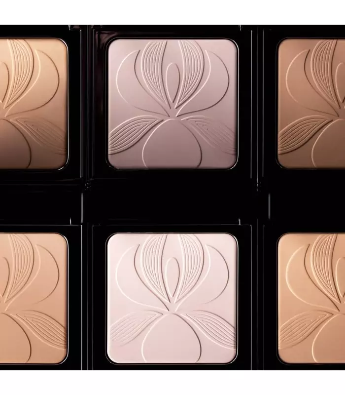 BLUR EXPERT VOILE POUDRE PERFECTEUR LISSANT
