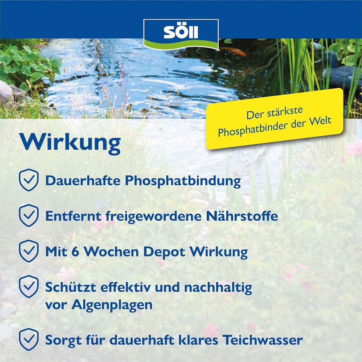 Söll PhosLock Phosphatbinder günstig kaufen