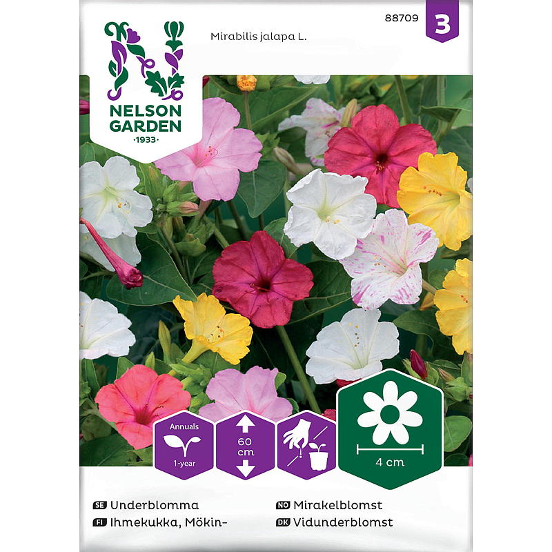 Nelson garden Frø Mirakelblomst Blandede farger