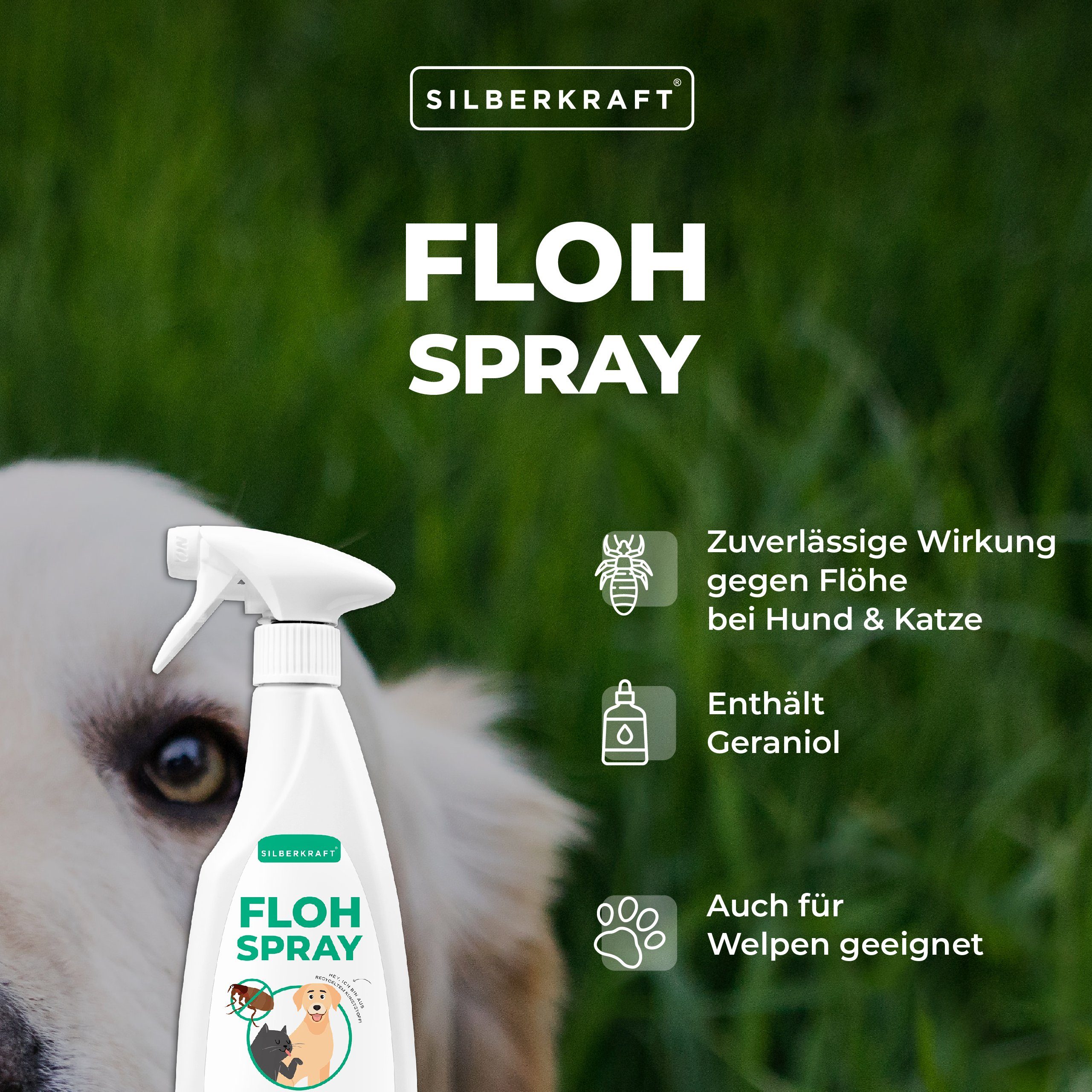 Silberkraft Insektenspray Flohspray Hunde & Katzen, 500 ml, 1-St.