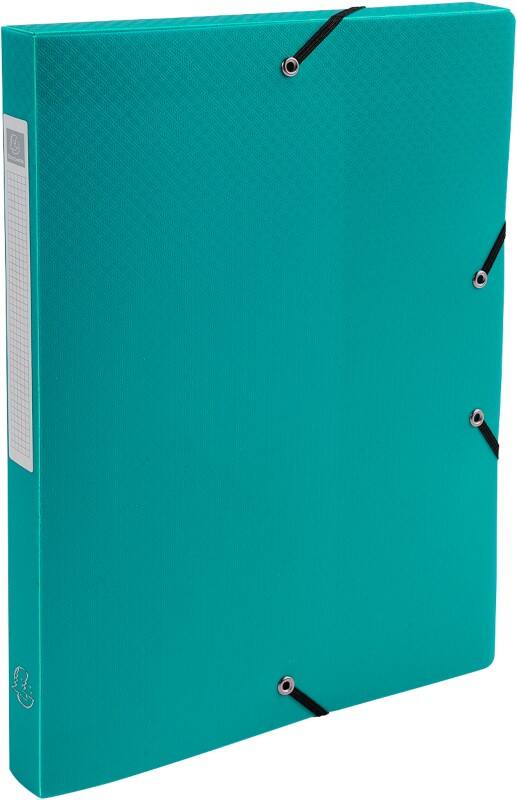 Exacompta Archivboxen 59683E DIN A4 Grün Polypropylen 25 x 33 cm 8 Stück