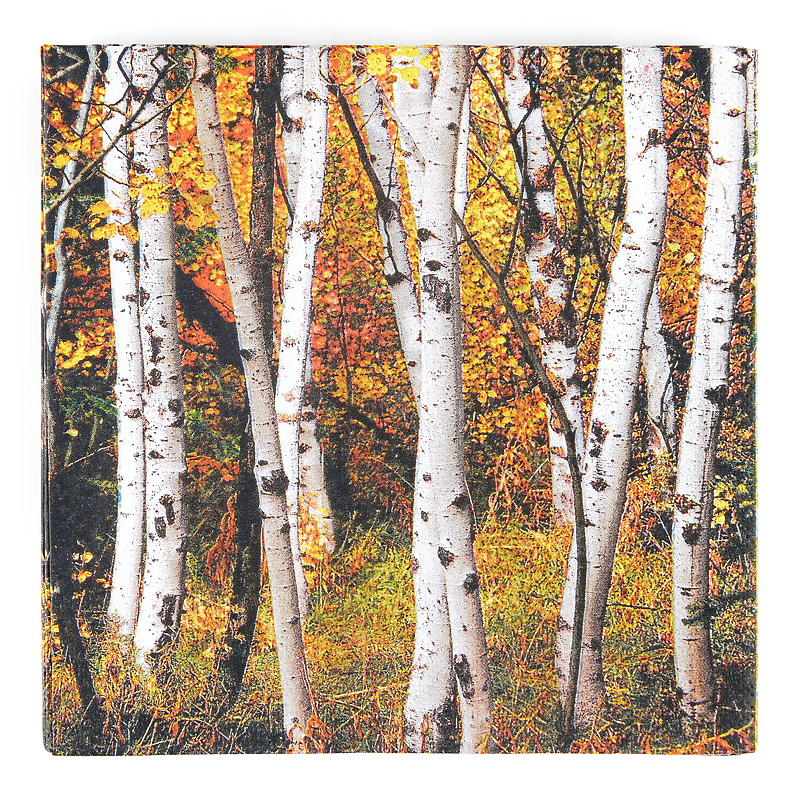Vie Eco Servietter 20-pk 33x33 cm