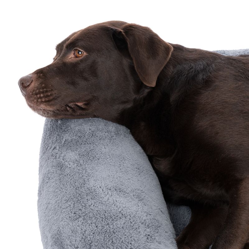 TIAKI Hundebett Lazy Bear, dunkelgrau zu TOP-Preisen | bitiba %