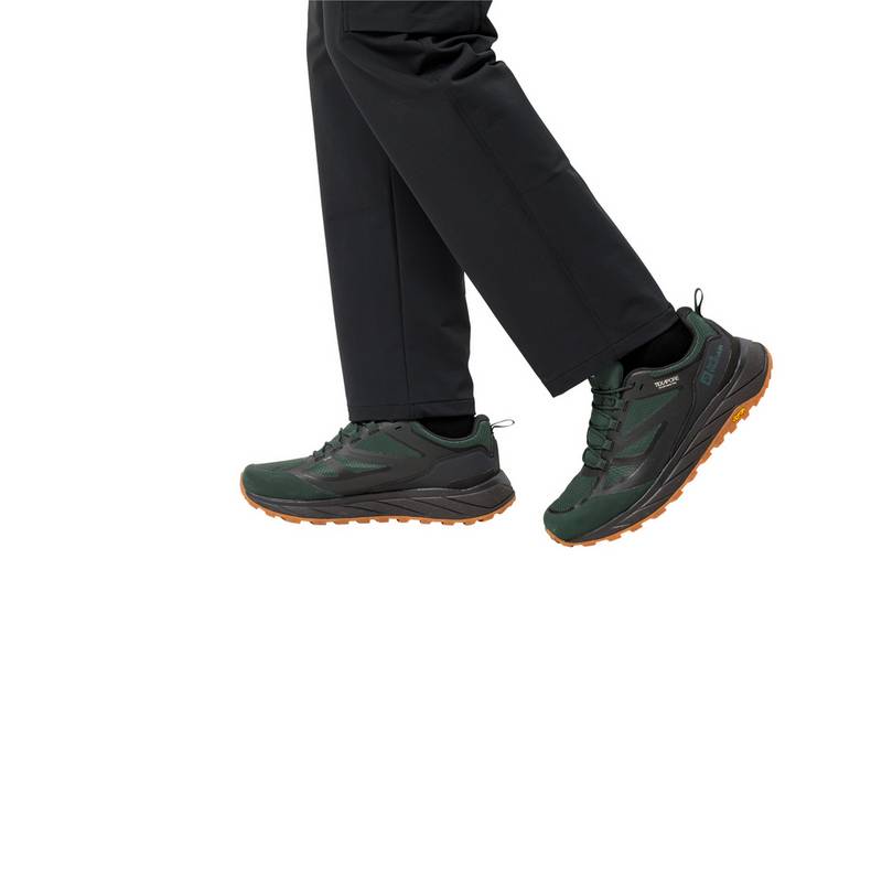Jack Wolfskin Wanderschuhe Herren