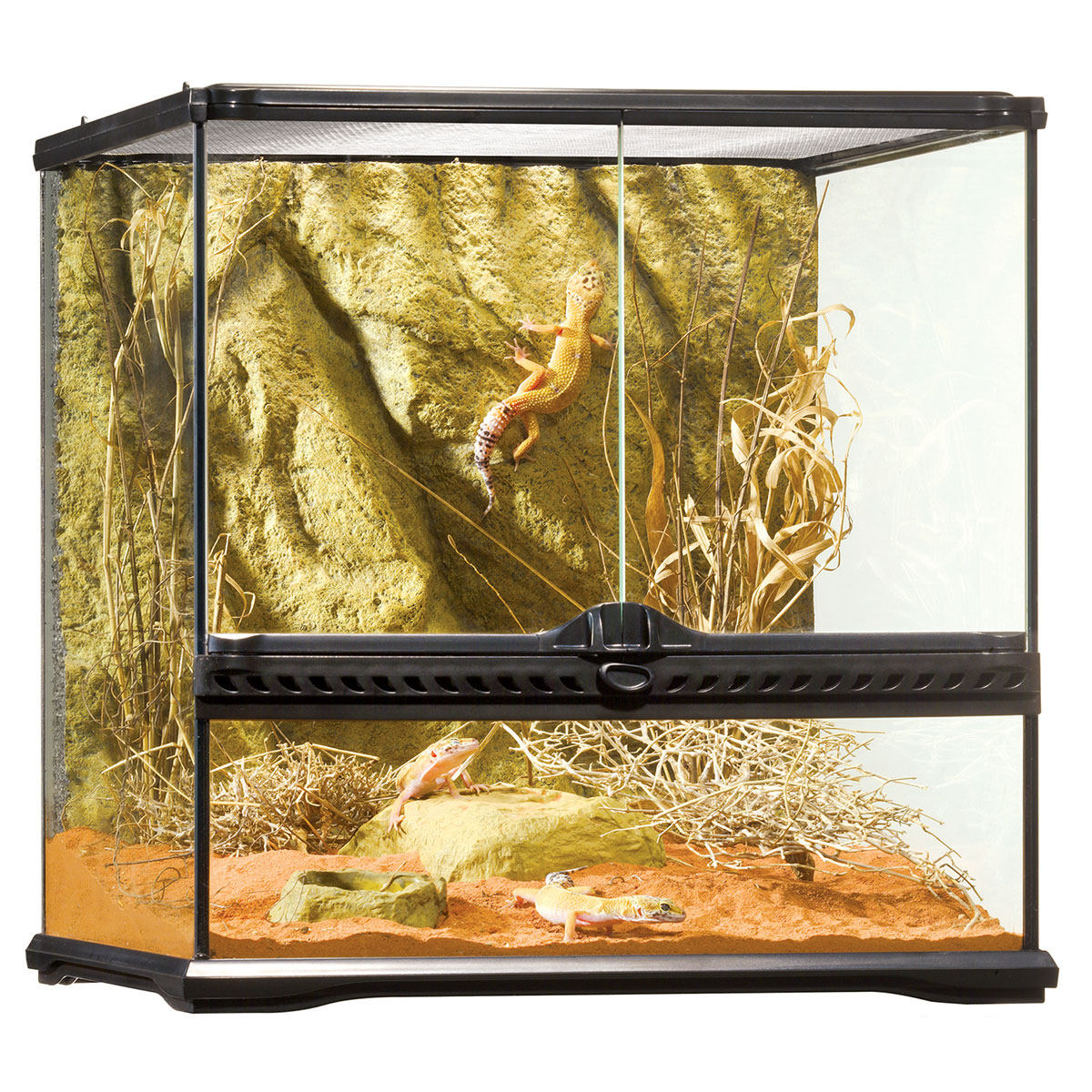 Exo Terra Glasterrarium 45x45x45 cm günstig kaufen
