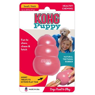KONG Welpenspielzeug