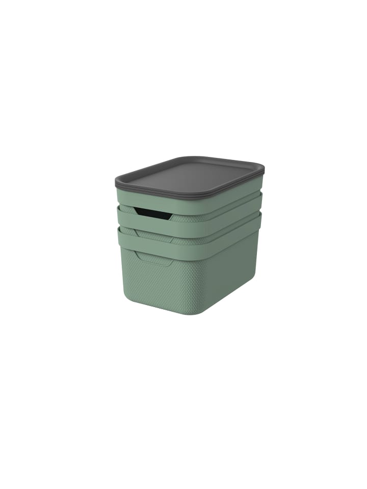 Rotho 3er- Set Aufbewahrungskorb 16l mit Deckel in Sea Spray green ged. günstig kaufen onesize